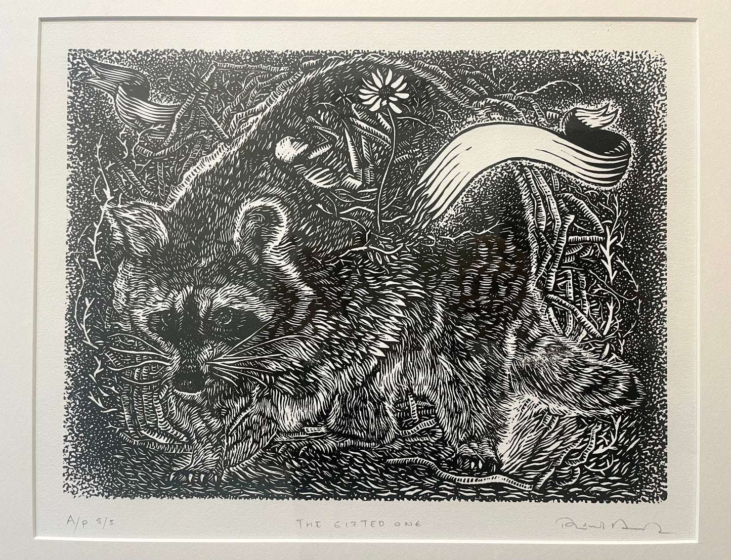 The gifted one by Pável Acevedo