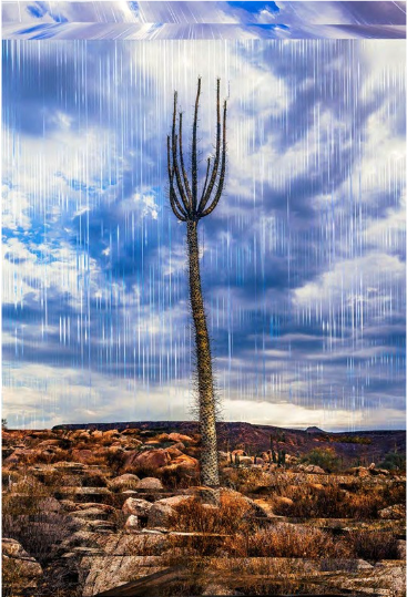 Dimensional Rain by Kate Turning