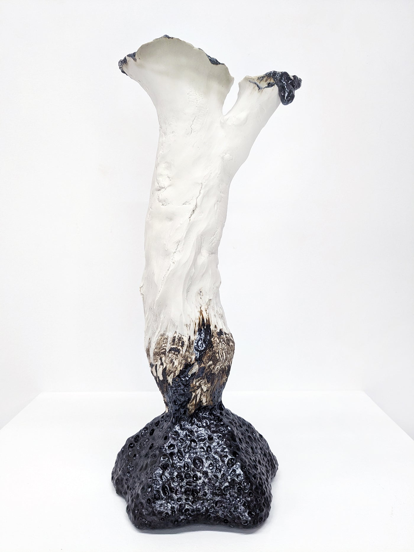 Visiting Ghost Wood Again by Emily Sudd