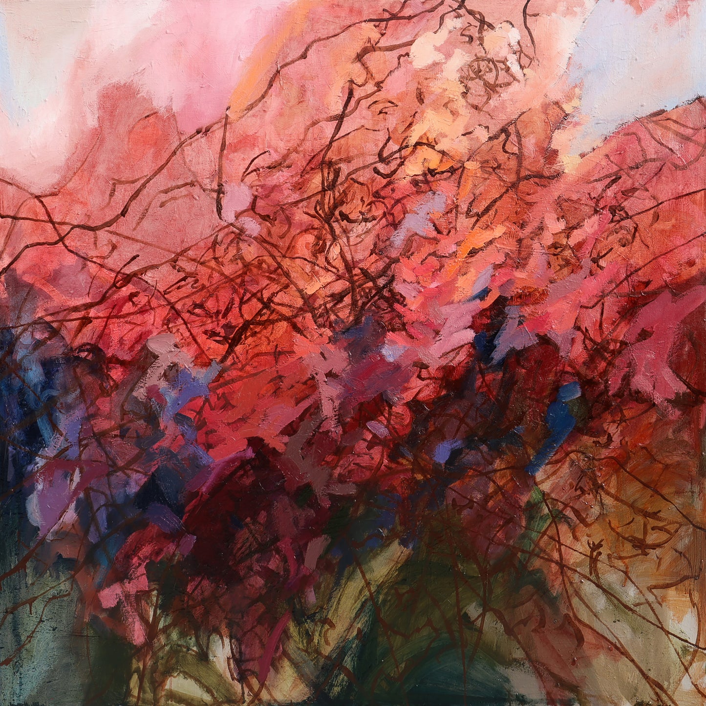 tangled in the sunrise by Shannon Evans