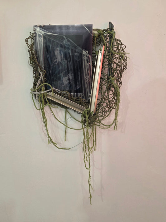 In Place, Out of Place by Brenda Gonzalez