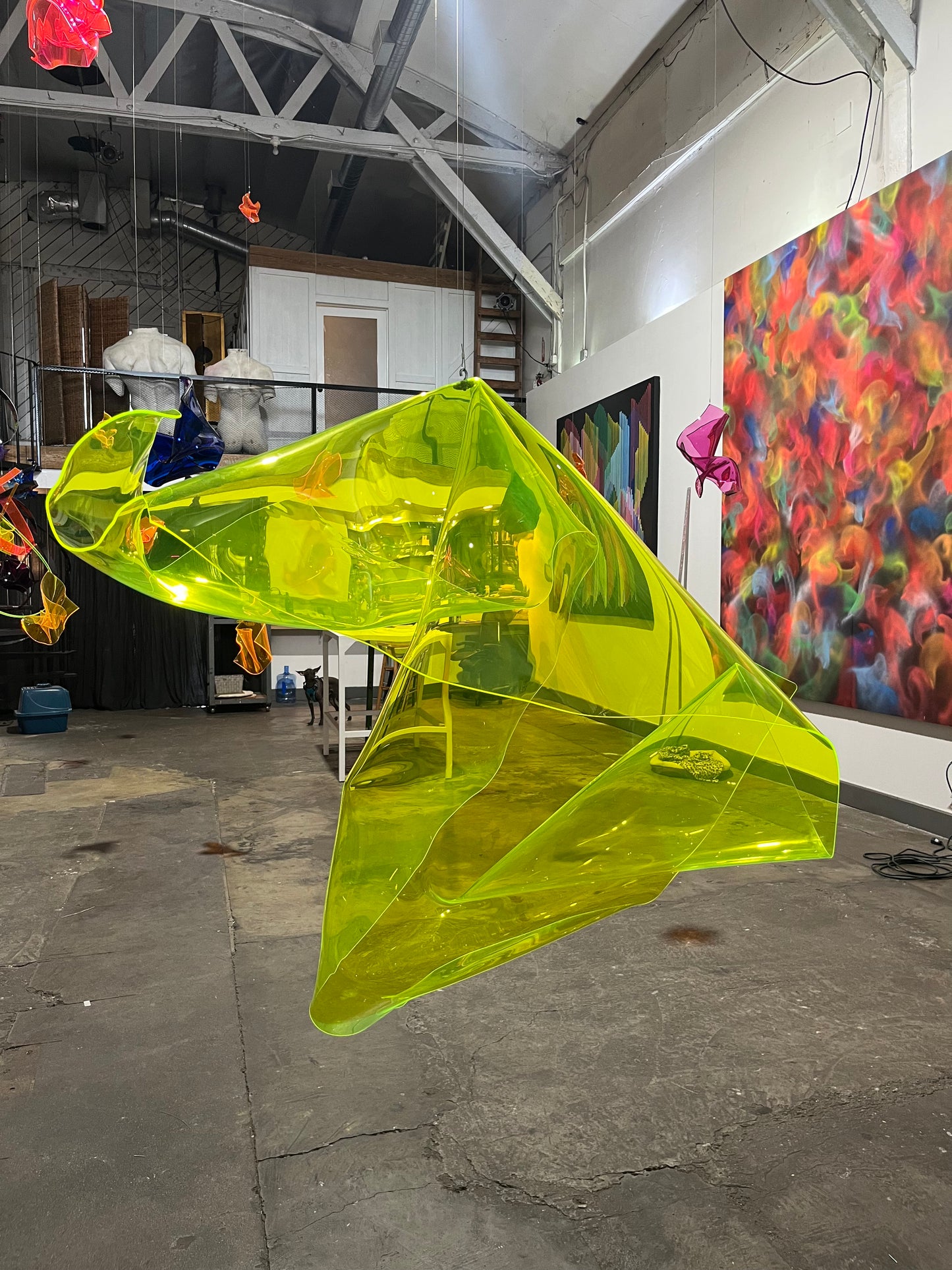 Murmuration Green by Juan Carlos Muñoz Hernandez