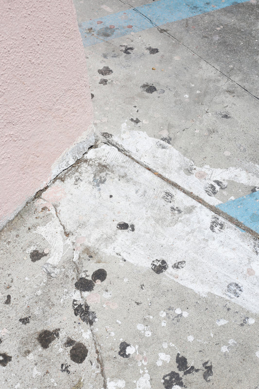 Palms by Robert Heavrin