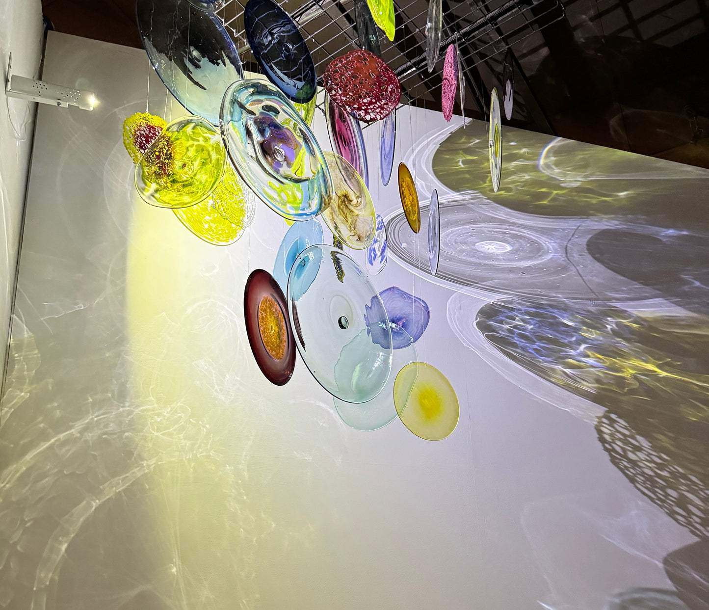 Free Your Body: Free Your Mind by Noël Piechowski