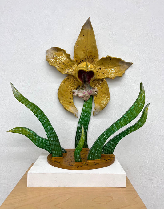 Amber Cattleya by Trevor Coopersmith