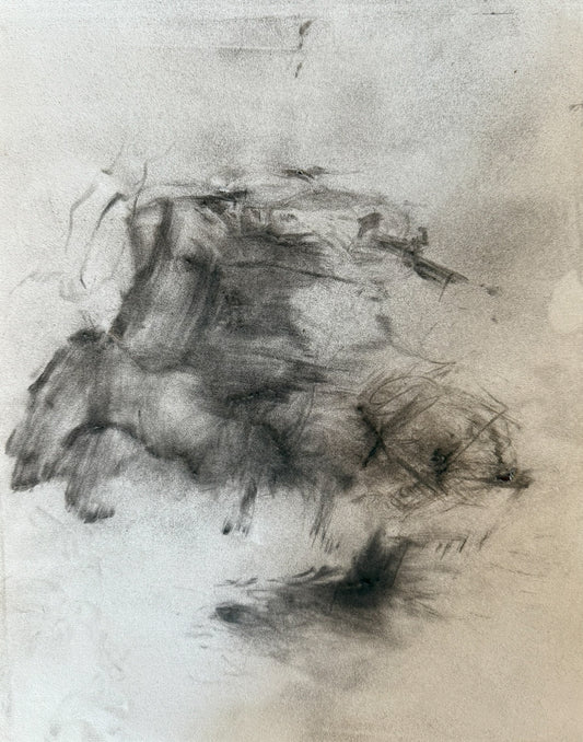 Altadena 005 by Carly Franca