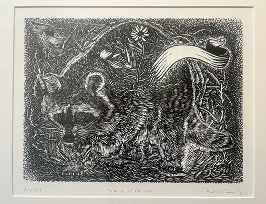 The gifted one by Pável Acevedo