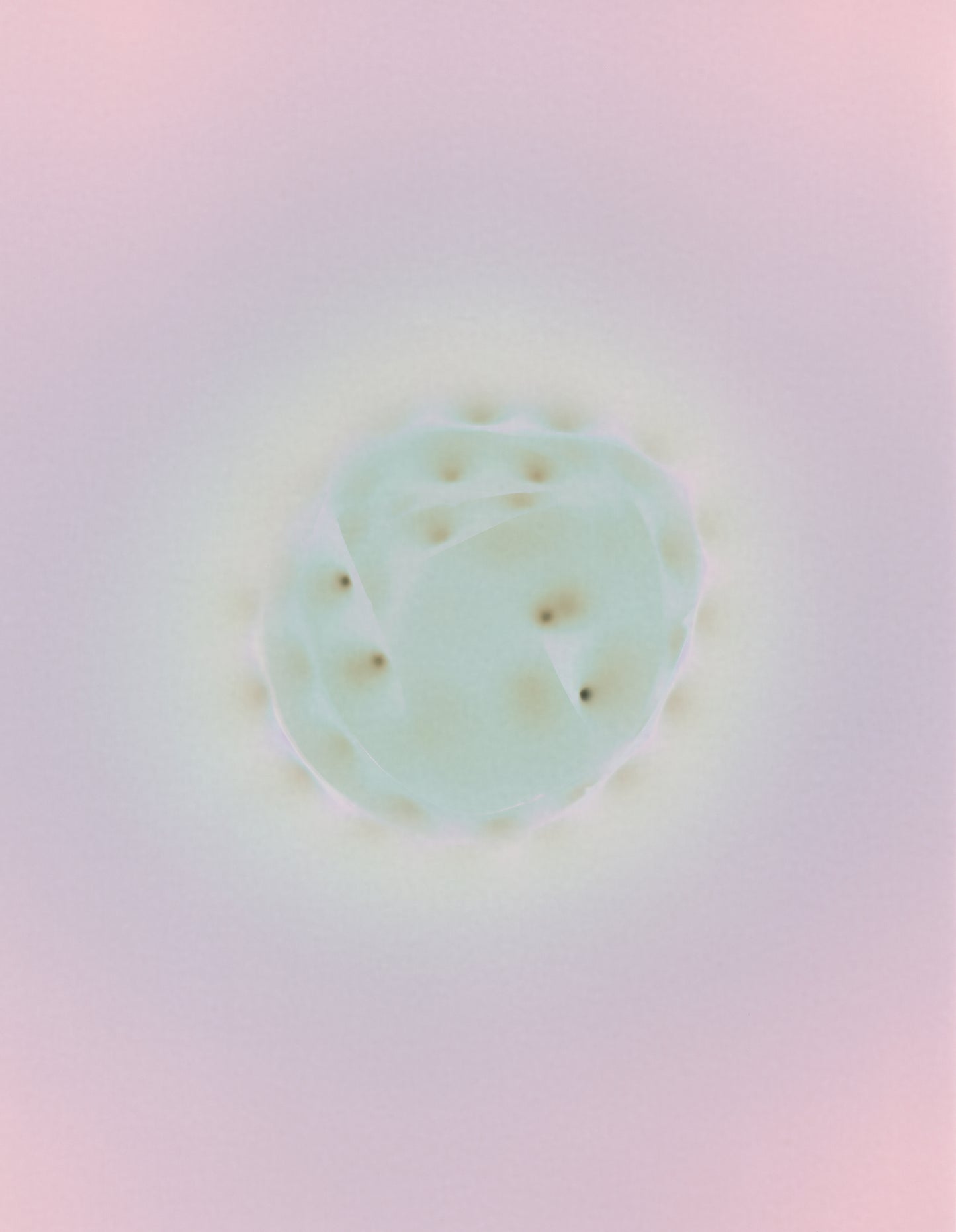 Virus by Richard S. Chow