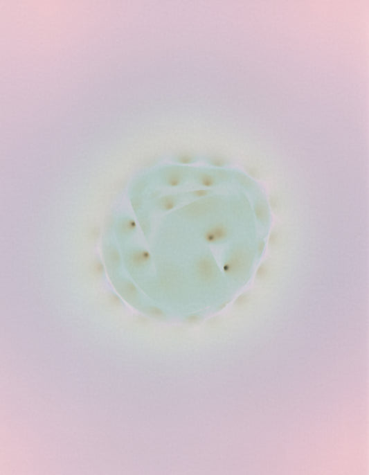 Virus by Richard S. Chow