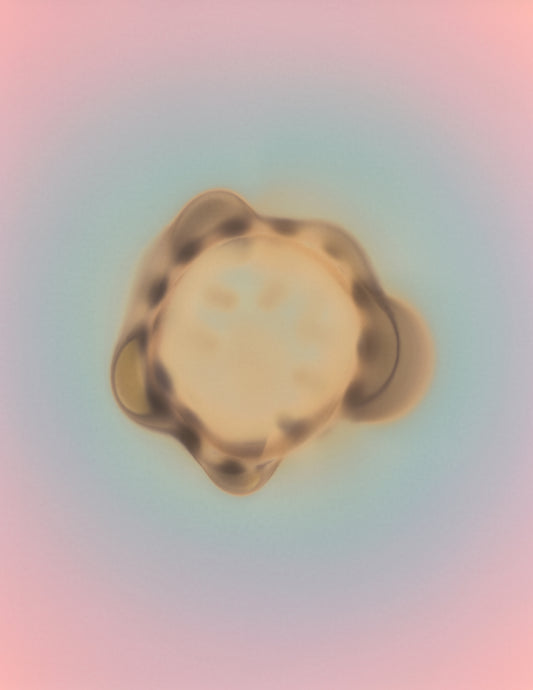 Smoked by Richard S. Chow