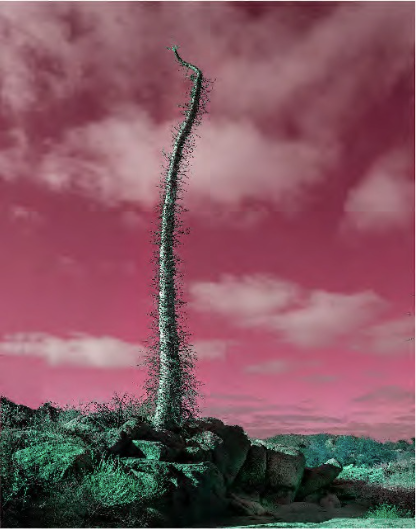 Stand Alone by Kate Turning