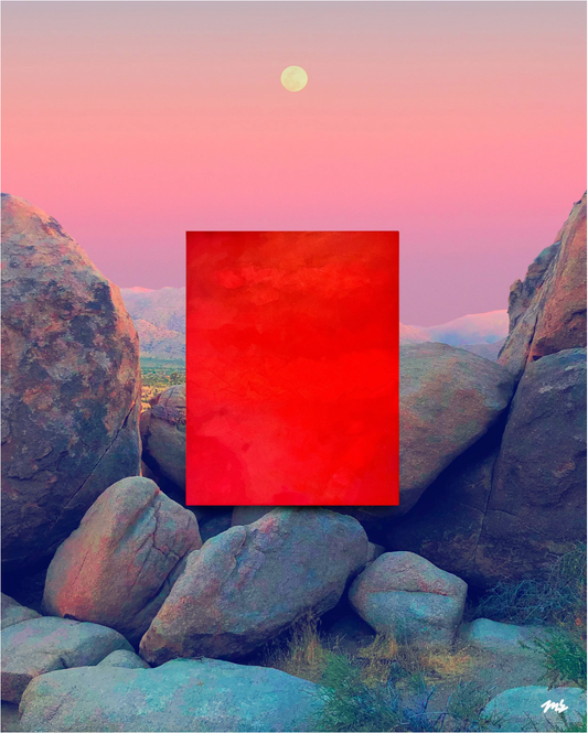 In the Wild: Joshua Tree by Monica Griffon